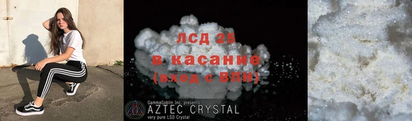 apvp Верея