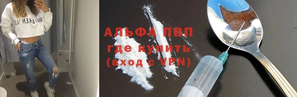 apvp Верея