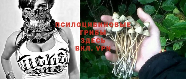 apvp Верея
