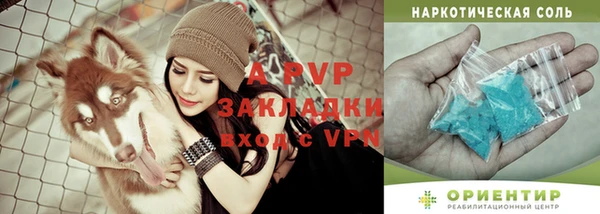 apvp Верея