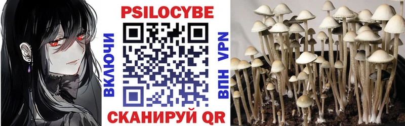 Псилоцибиновые грибы мицелий Купить закладки Саров